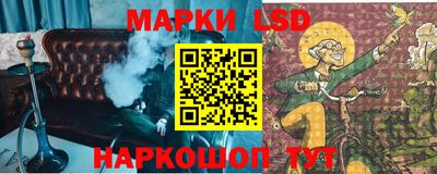 мет Кингисепп