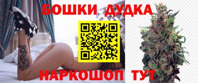 мет Кингисепп