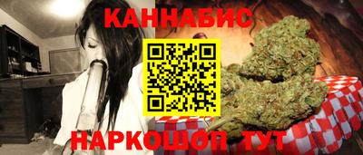 мет Кингисепп