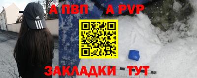 мет Кингисепп