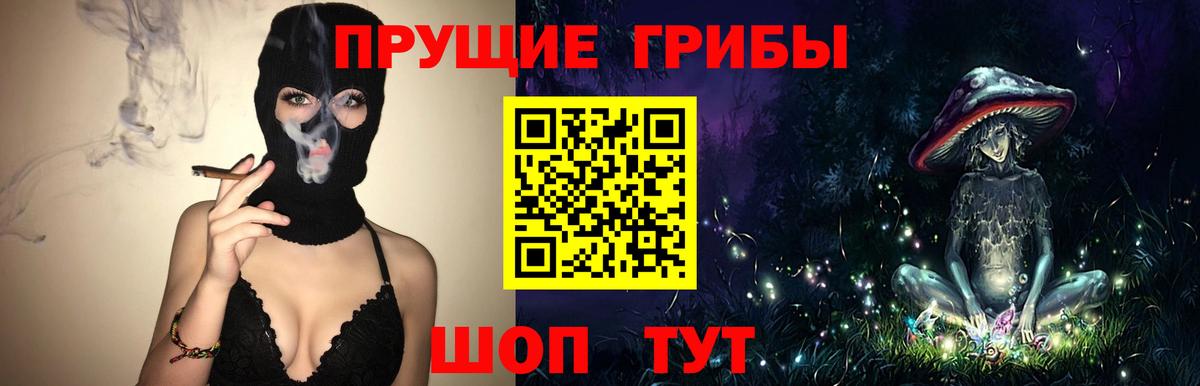 Галлюциногенные грибы Psilocybe  Вход с VPN  Псилоцибиновые грибы прущие грибы  Кыштым 